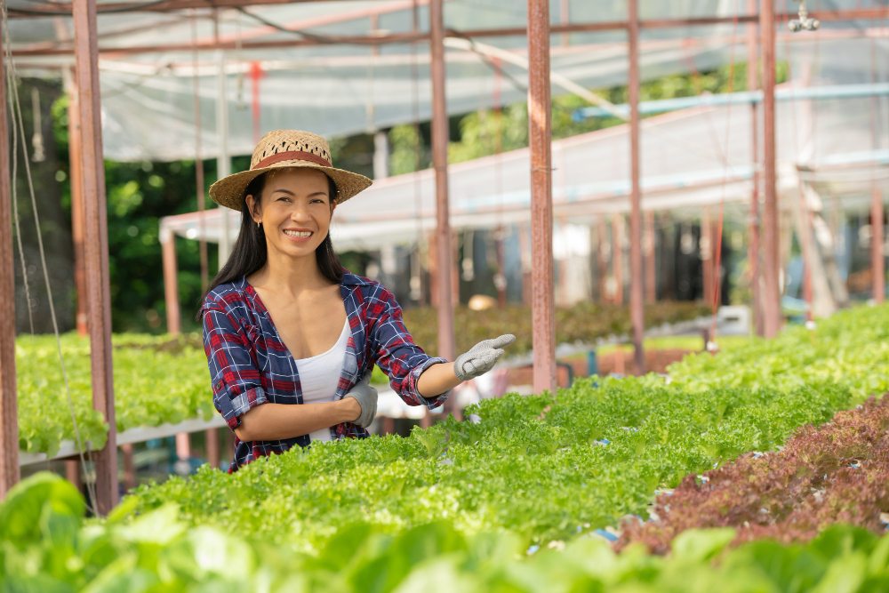 Agricultoras asiáticas trabalhando em fazenda hidropônica de vegetais com felicidade. Retrato de uma agricultora verificando a qualidade da salada verde com sorriso na fazenda da casa verde.
