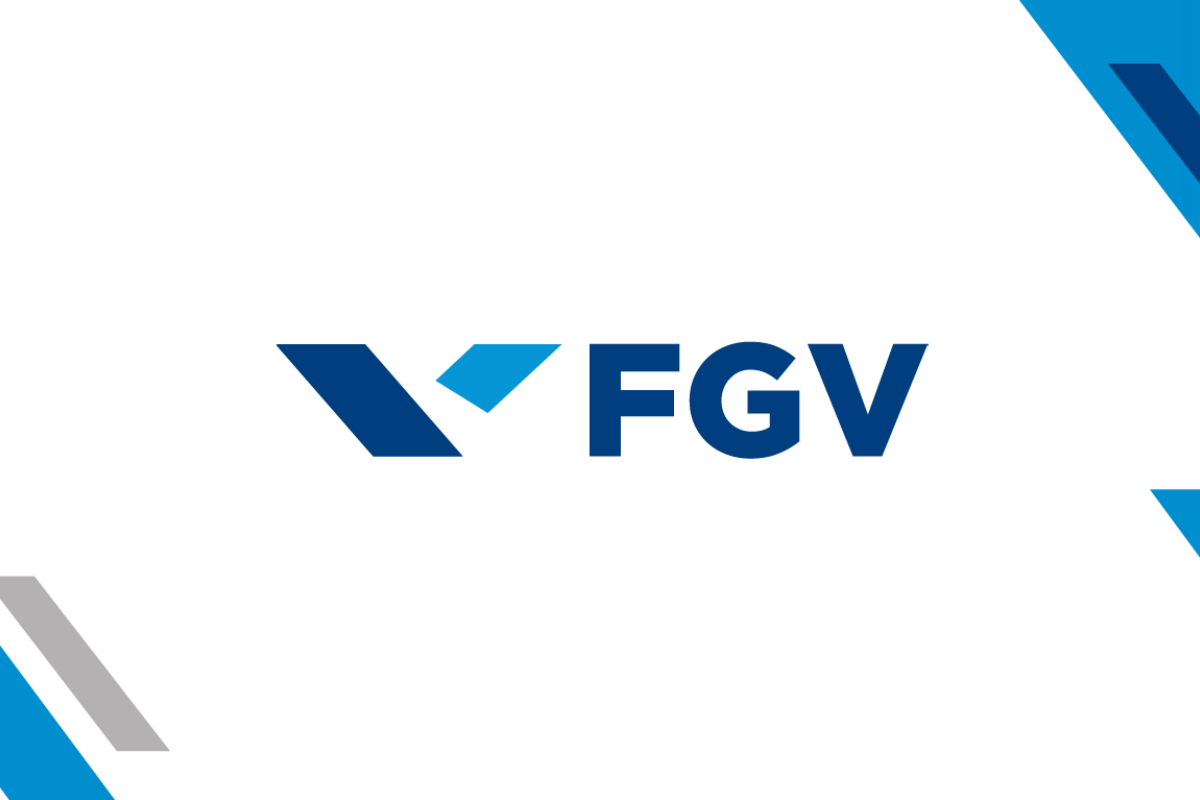 fvg logo